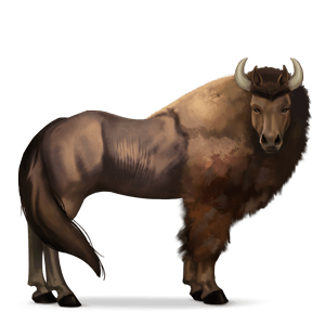 cheval sauvage bison