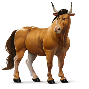 cheval sauvage boeuf