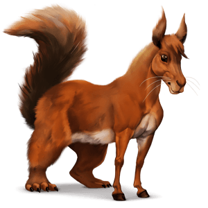 cheval sauvage ecureuil