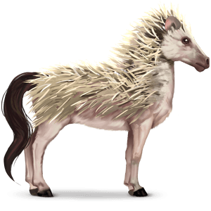 cheval sauvage hérisson