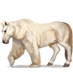 cheval sauvage ours polaire