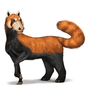 cheval sauvage panda roux