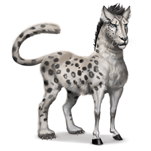cheval sauvage panthère des neiges