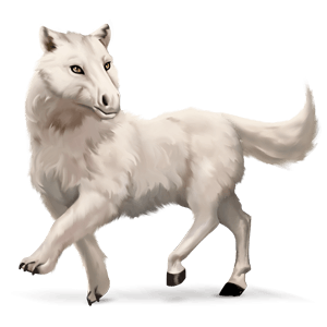 cheval sauvage renard polaire